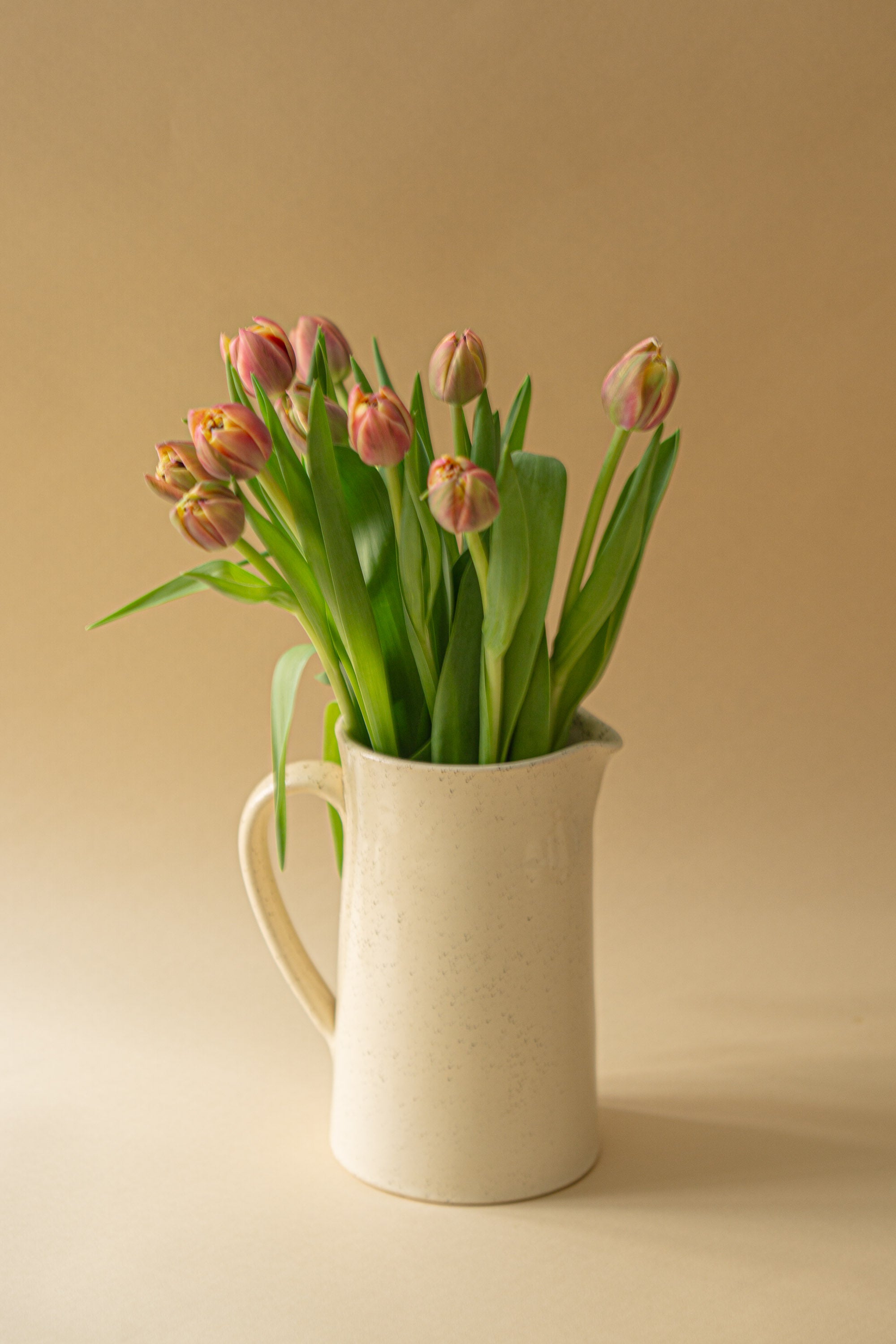 Large ceramic jug